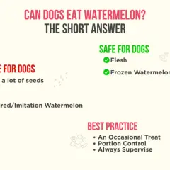 Can dogs have watermelon? Yes, the flesh and frozen watermelon are safe. Avoid seeds, rind, and flavored versions.