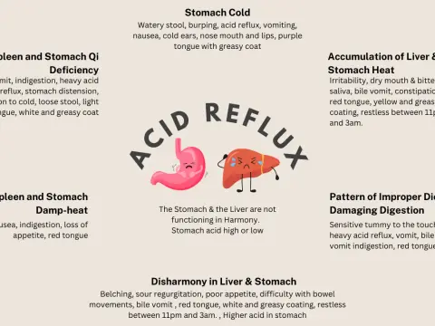 Dog Acid Reflux - Symptoms, Causes & Treatment