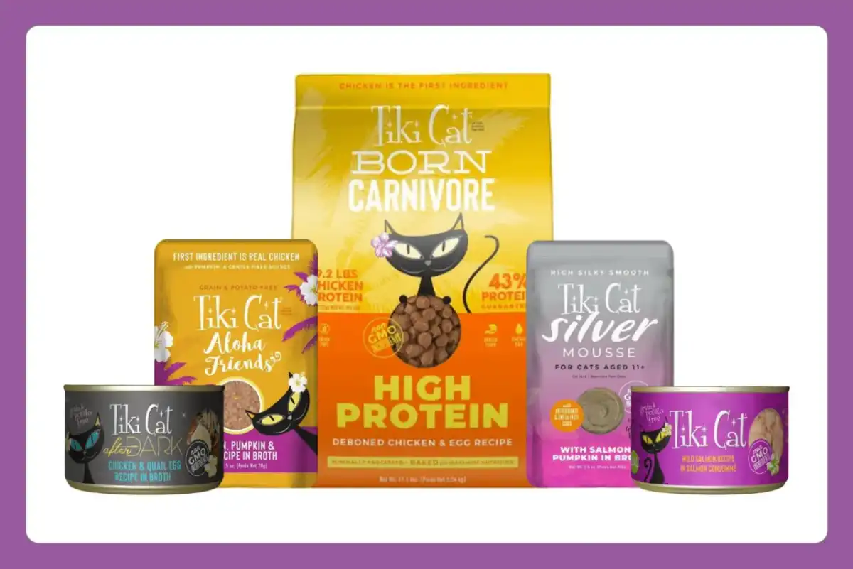 Tiki Cat Food Review - Is It Good For Your Cat?