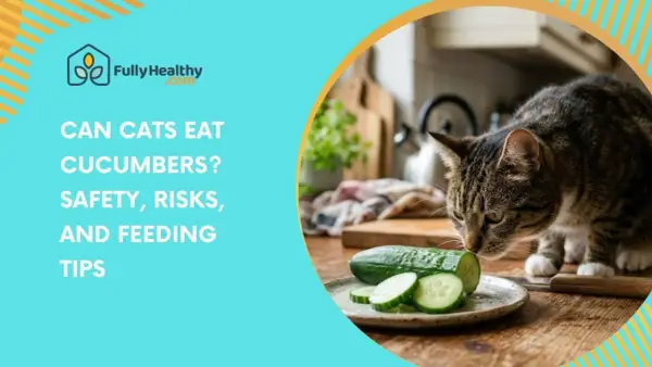 A tabby cat sniffs sliced cucumbers on a plate, questioning if cats can eat cucumbers. Safety, risks, and feeding tips are discussed.