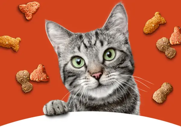 A tabby cat peeks over a white surface, surrounded by kibble. Is Meow Mix good for cats? This cat seems to think so!